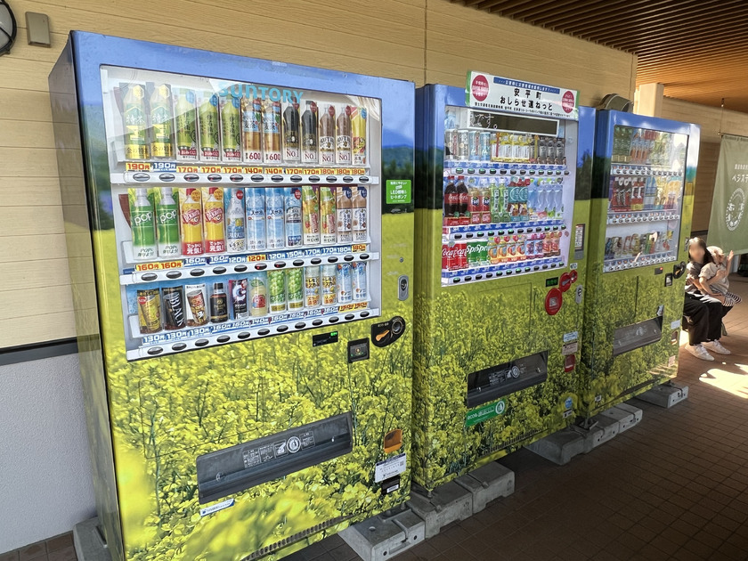 菜の花(道の駅 あびらD51ステーション)