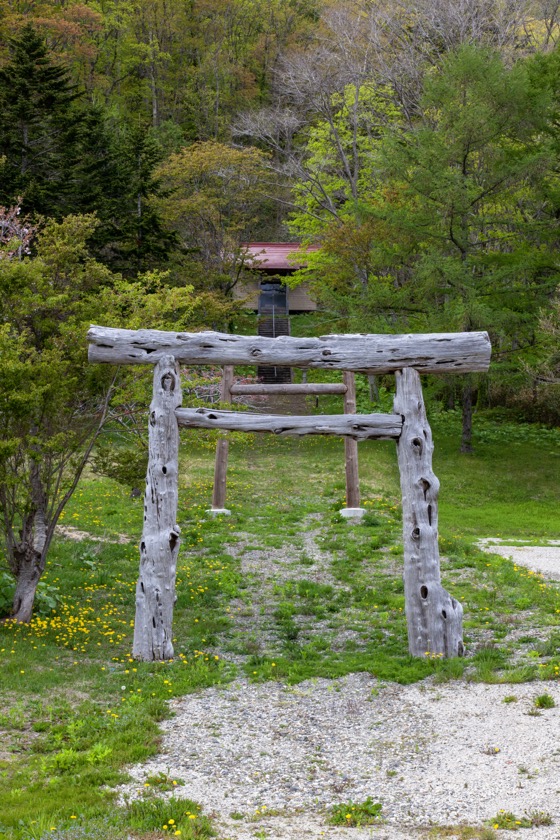 ゴツゴツした鳥居(中里神社)