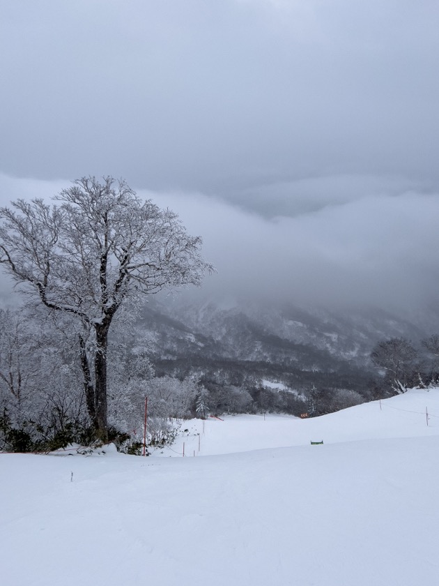キロロ山頂の雪景色(積雪不足)